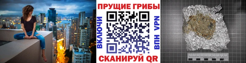 блэк спрут вход  Нелидово  Псилоцибиновые грибы Psilocybine cubensis 